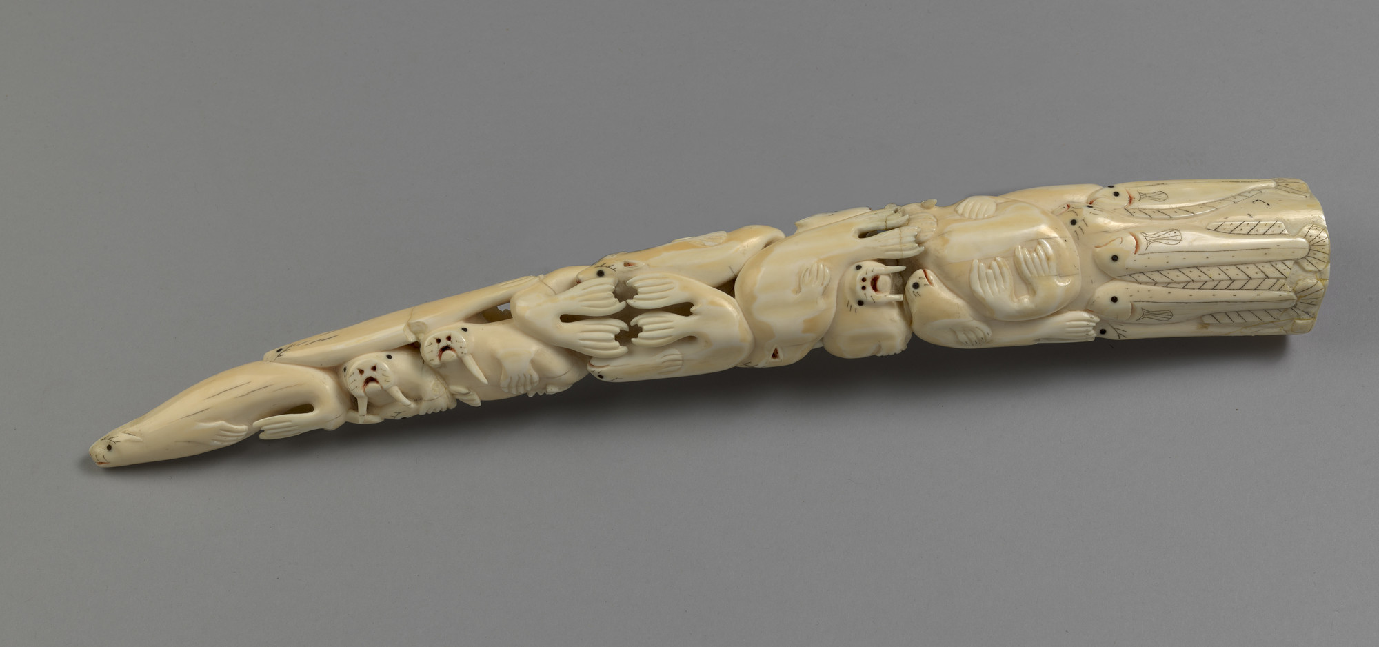 A carved and pierced walrus tusk with&nbsp;animals and fish along the full length, including halibut, cod, seals and polar bears. On an ebonised stand with an engraved silver presentation plaque.