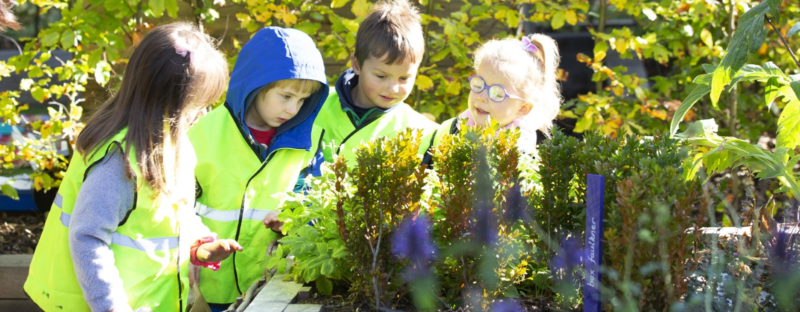 Nursery class in the Physic Garden looking at herbs