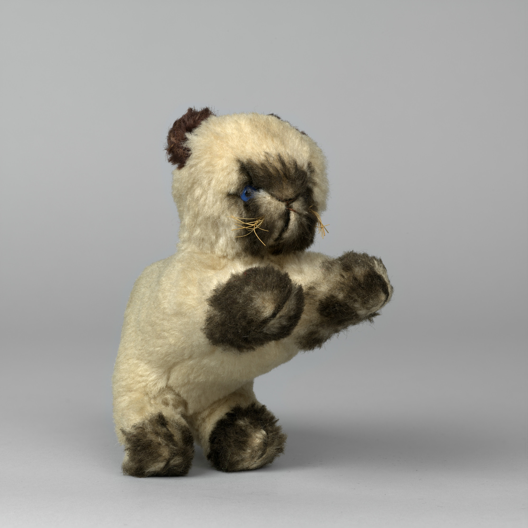 Siamese cat soft toy