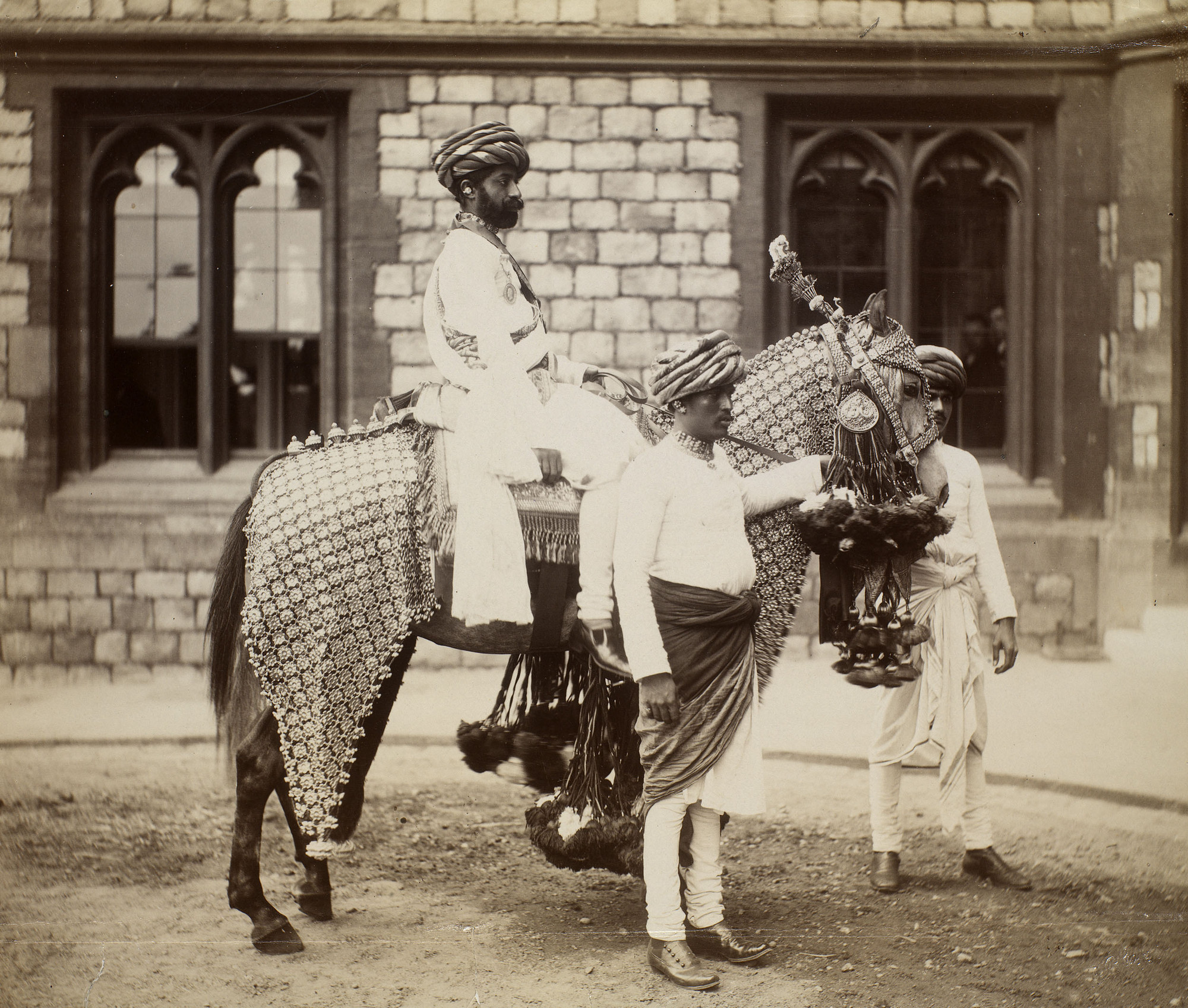 Photograph of horse and trappings presented to Queen Victoria