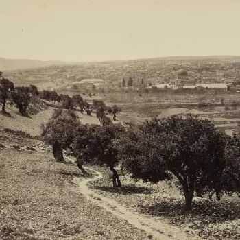 View from slopes and olive groves of the Mount of Olives towards distant rooftops of Jerusalem. 
The royal party arrived at Jerusalem in the evening of 31 March. They set up a camp outside the city walls, between the Damascus Gate and the Gate of St. Ste