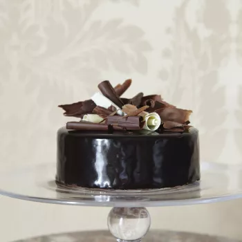 Chocolate cake on a plate