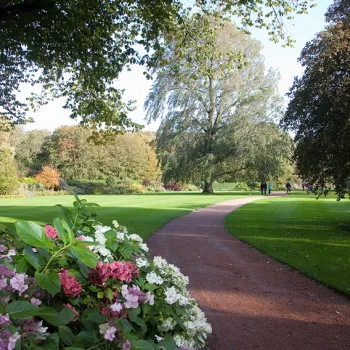 Lawn and flowers and path 